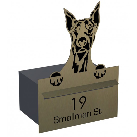 Dog Box Stainless Steel Letterbox - VIP Series Contemporary Dog Box Stainless Steel Letterbox - VIP Series Contemporary